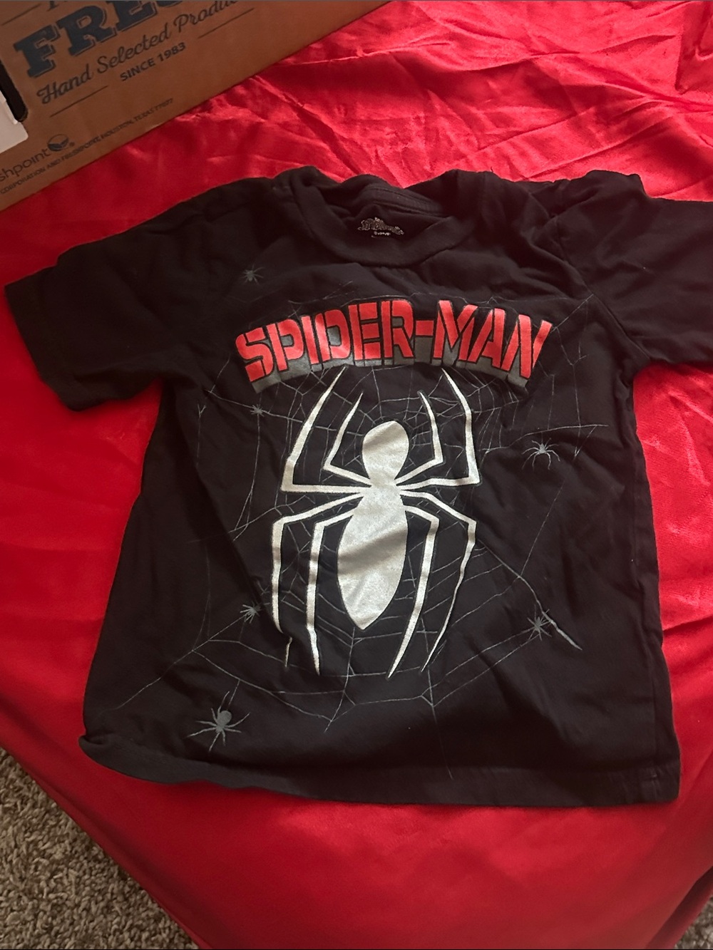 Spider-Man Kids Black Graphic Tee